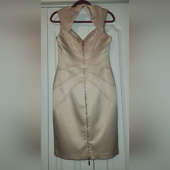 Jessica Simpson Champagne Sheath Dress — Rose Gold Zipper, Elegant Fit, Size 6 - Picture 4 of 6